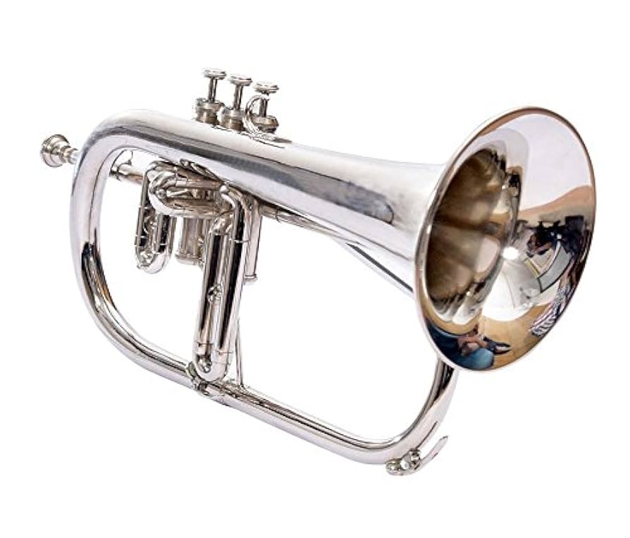 Amazon.com: SHREYAS New Nickel Plated Bb Flat 3 Valve